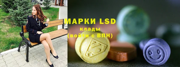 крисы Аркадак