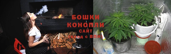 крисы Аркадак