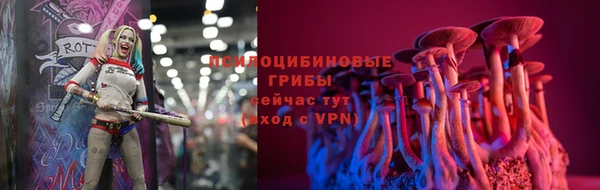 крисы Аркадак