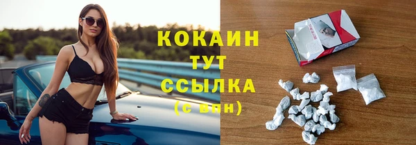 соль ск Арсеньев