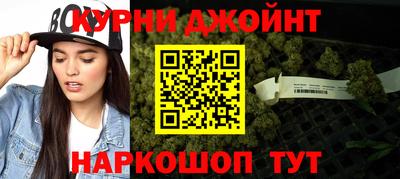 МДПВ Бийск