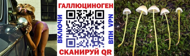 Галлюциногенные грибы ЛСД  mega ссылки  Елабуга  что такое наркотик 