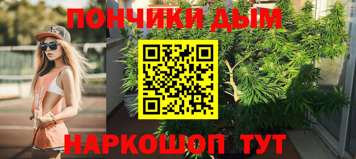 Бошки Шишки индика  Бошки Шишки план  Елабуга 