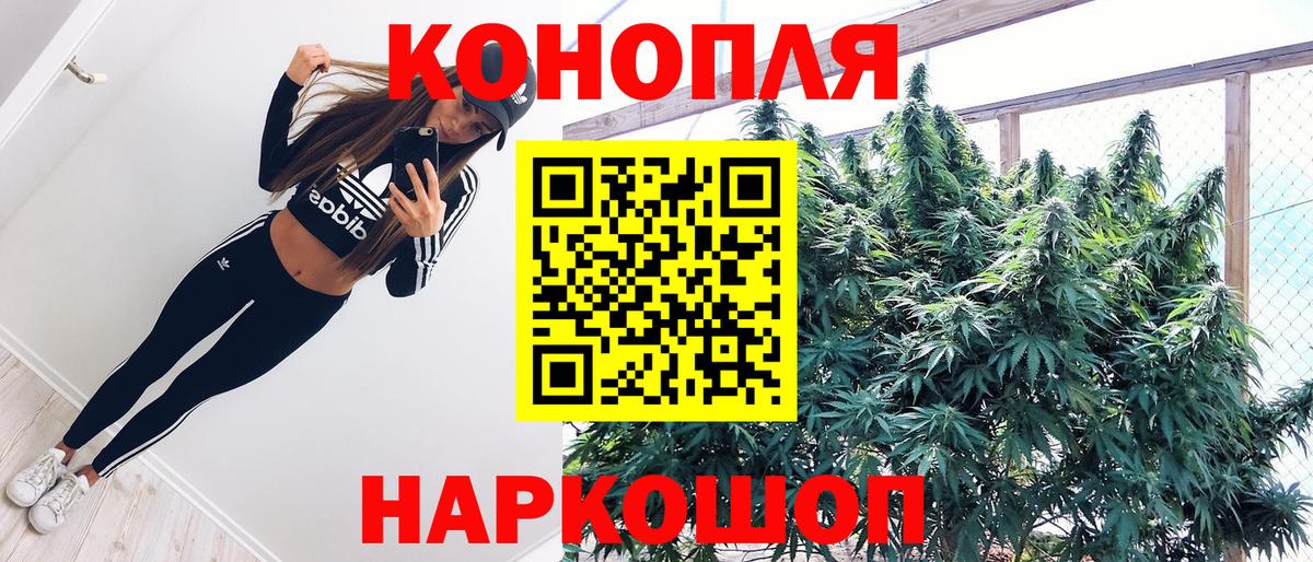 Канабис OG Kush Елабуга